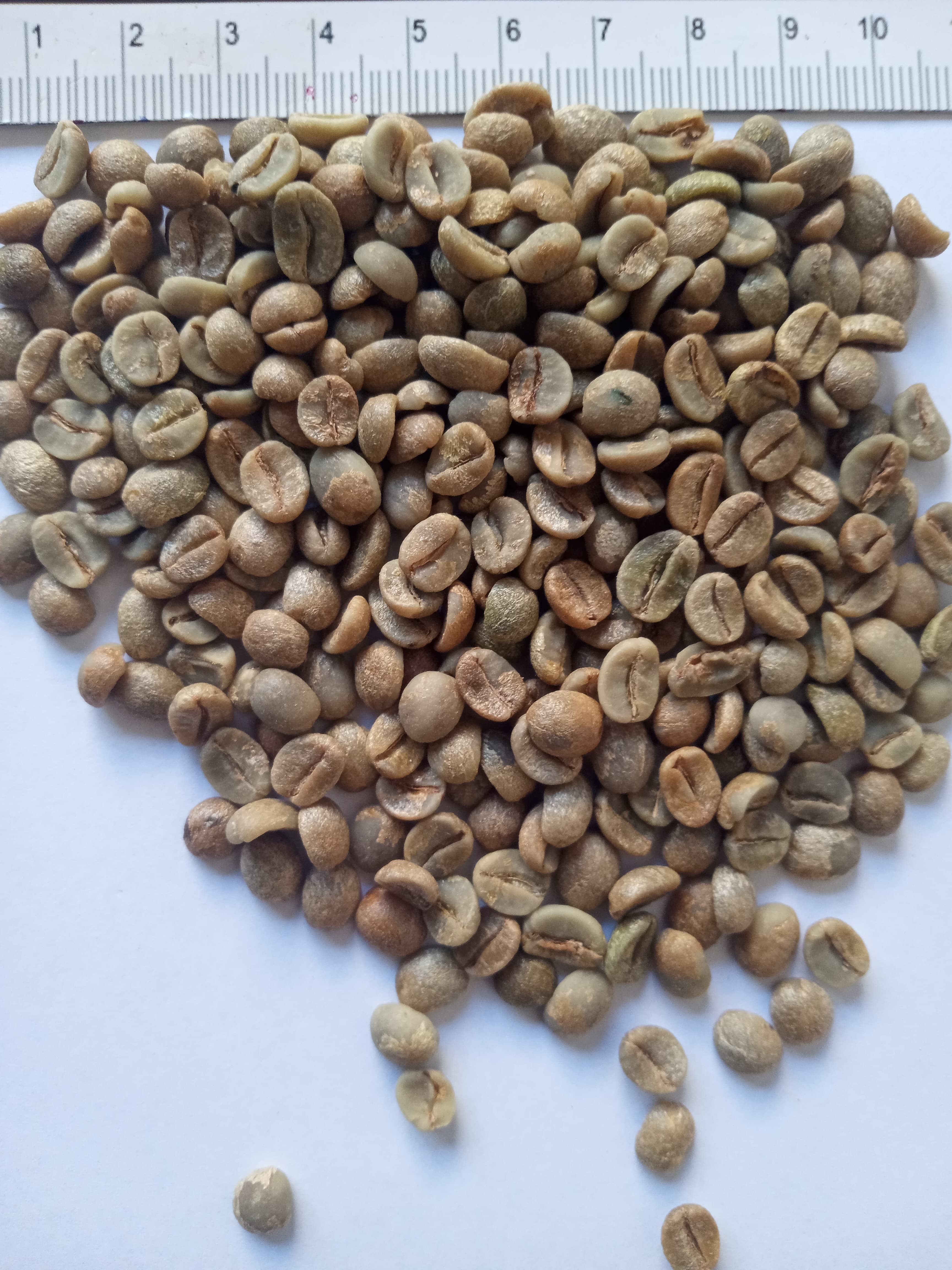 巴西阿拉比卡 77-90 p（Sahel Agri-Sol / 公共领域）