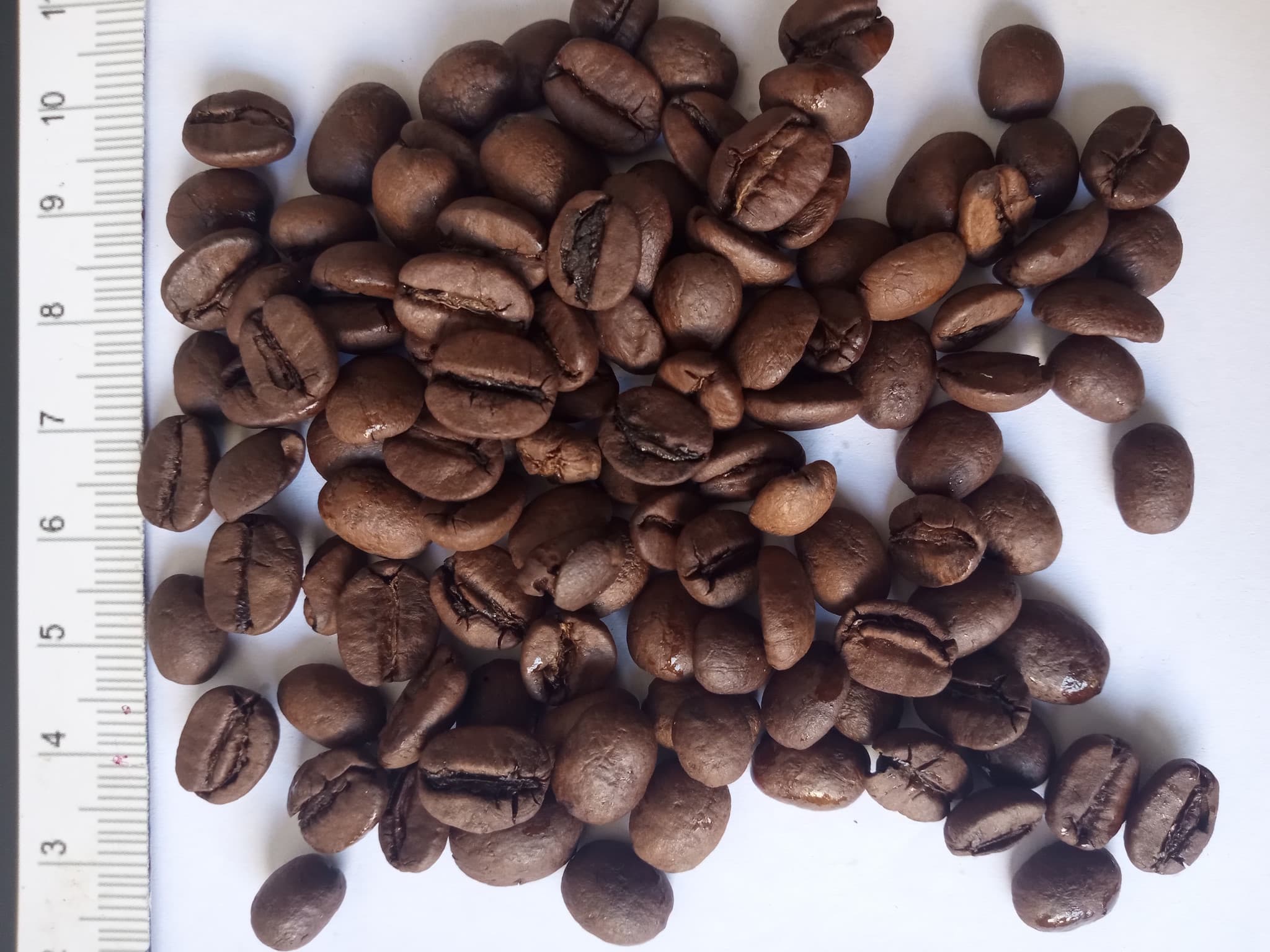 巴西阿拉比卡好杯，筛网1318，77-82分，中度烘焙 (Sahel Agri-Sol / 公有领域)