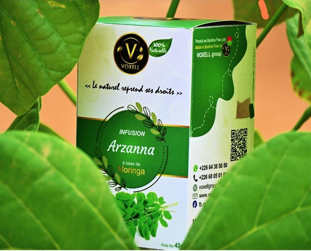 மோரிங்கா ஊறுகட்டி (Sahel-Agrisol / பொது டொமைன்)