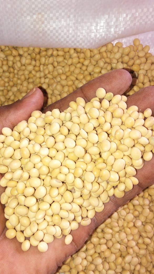 Soja Limpia (Sahel Agri-Sol / Adalidda / dominio público)