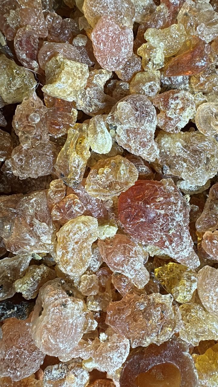 கம் கராயா உணவு தரம் (Sahel Agri-Sol / Adalidda / பொது இடம்)