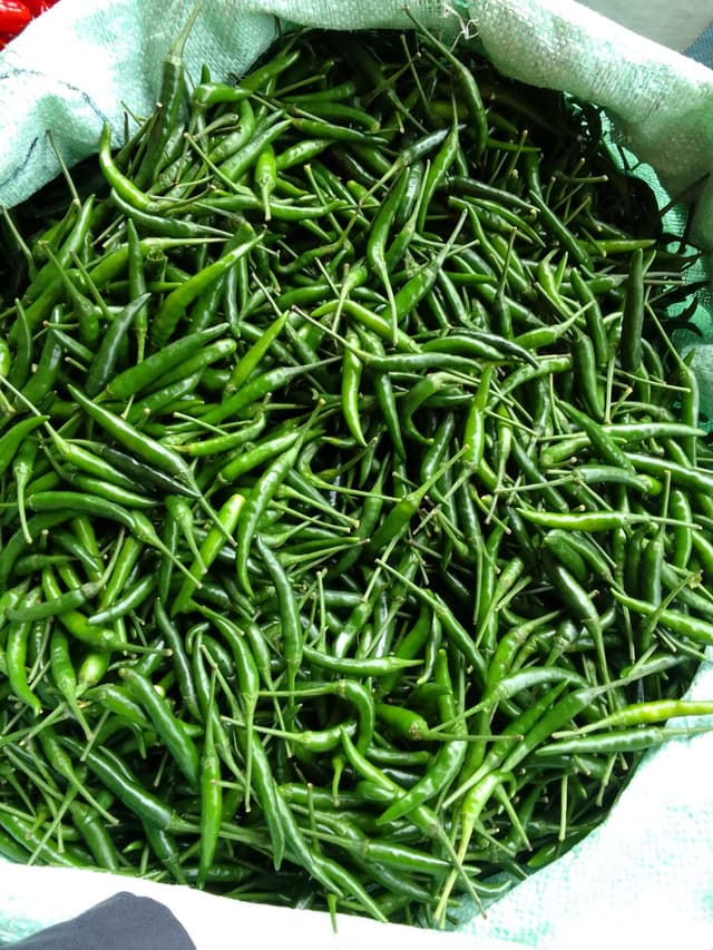 Fresh Green Chillies Bold Flavor, Nutrition & Sustainability