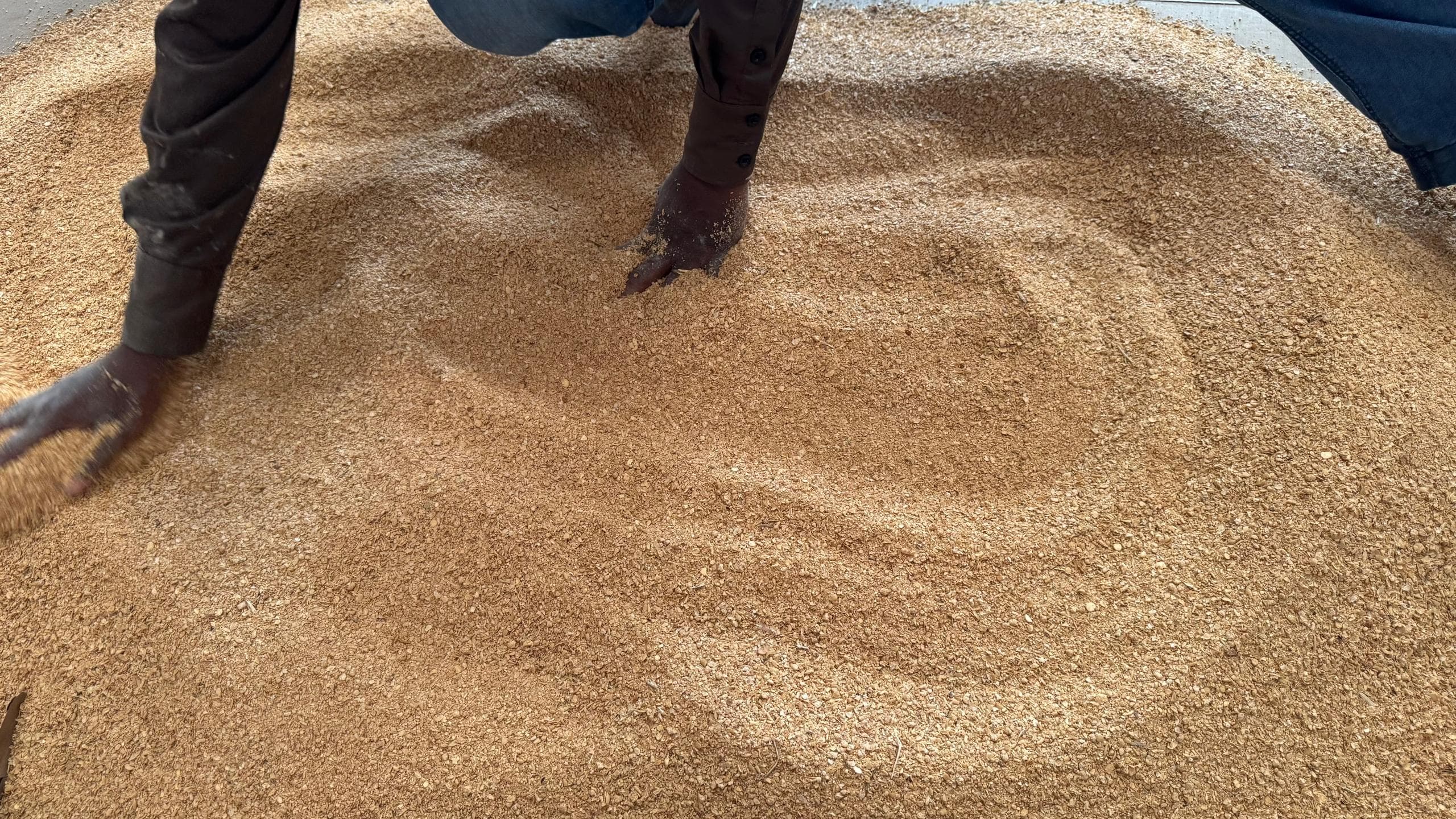 脱脂豆粕 (Sahel Agri-Sol / Adalidda / 公共领域)