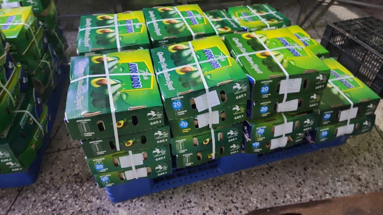 Boîtes d'avocats prêtes à être expédiées par fret aérien. (Crédit : Adalidda / Sahel Agri-Sol / Domaine public)