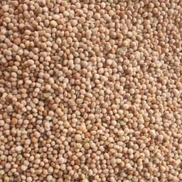 Premium-Taubenerbsen von Sahel Agri-Sol– Vielseitig & Rein