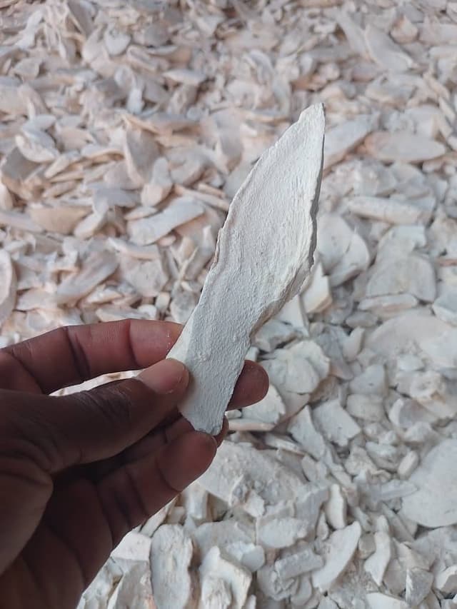 Sustainable Nigerian Dried Cassava Chips for Supply Chains