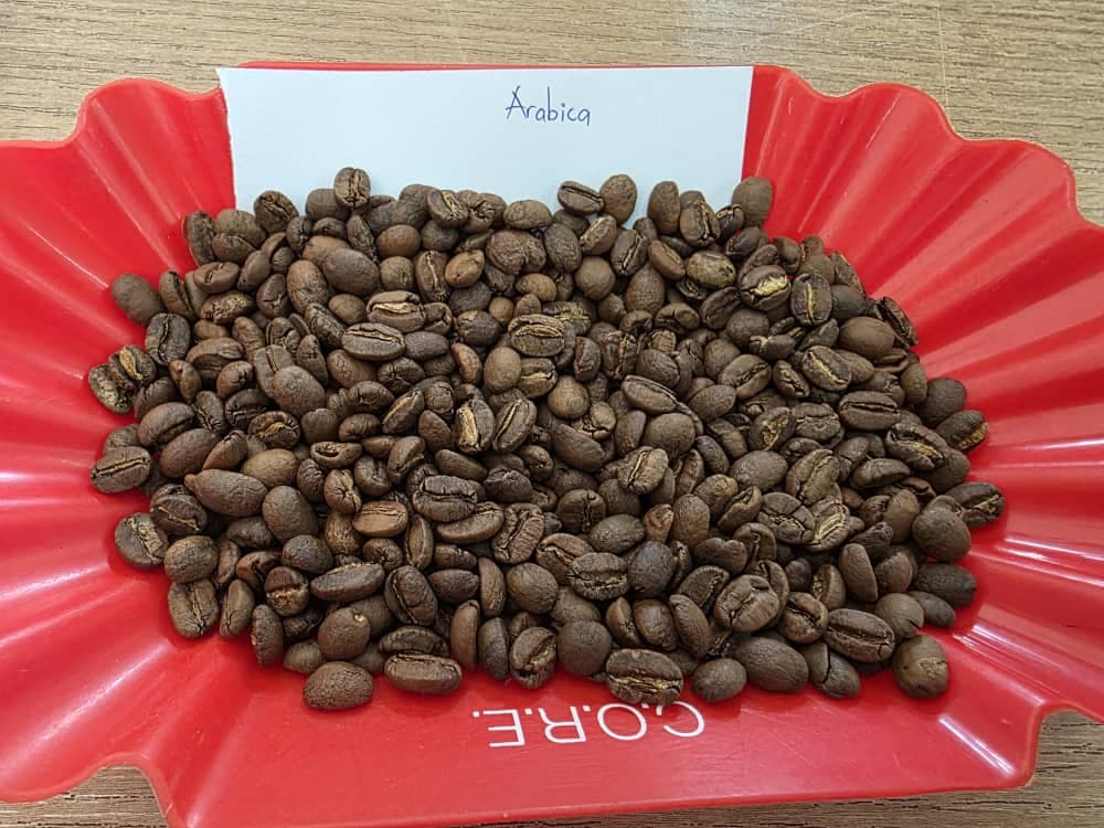 Café Arabica (origine : Ouganda) (Crédit : Groupe Solina Côte d'Ivoire)