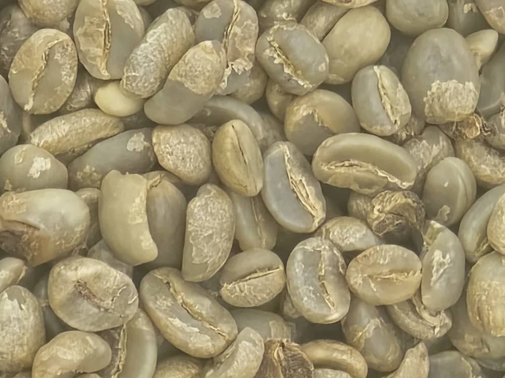 Café Robusta (origine : Ouganda) (Crédit : Groupe Solina Côte d'Ivoire)