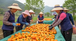 소규모 농민 시장 진입 전략: 협동·디지털·품질로 소득 향상